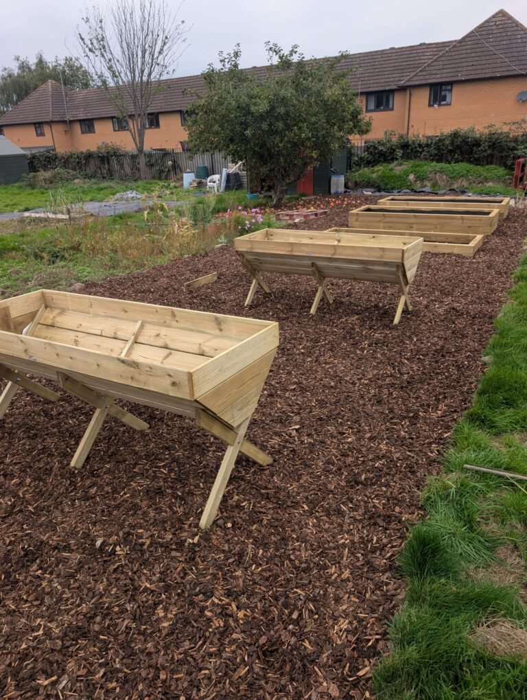 Image of allotment with wood chippings and raised beds built.